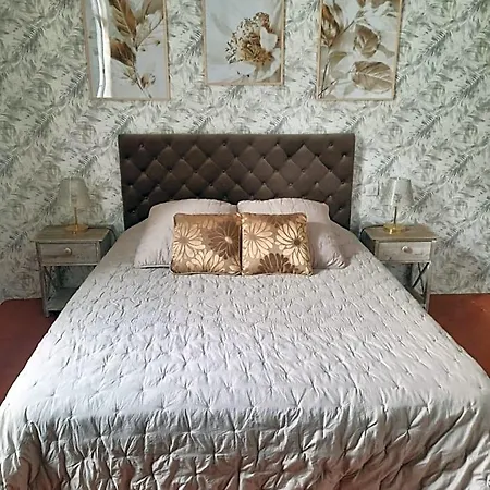 D'hotes Belle Vigneronne مونتانياك